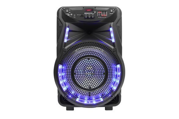 Акустична система Goldteller GT - 6021